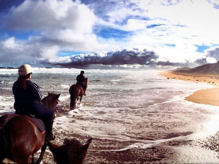 Day Tours - Rundell’s Mahogany Trail Rides